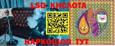 прущие грибы Будённовск