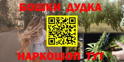 прущие грибы Будённовск