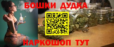 прущие грибы Будённовск