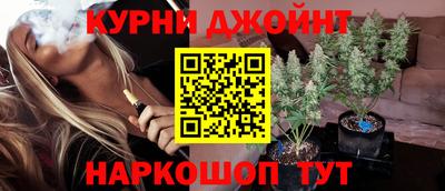 прущие грибы Будённовск